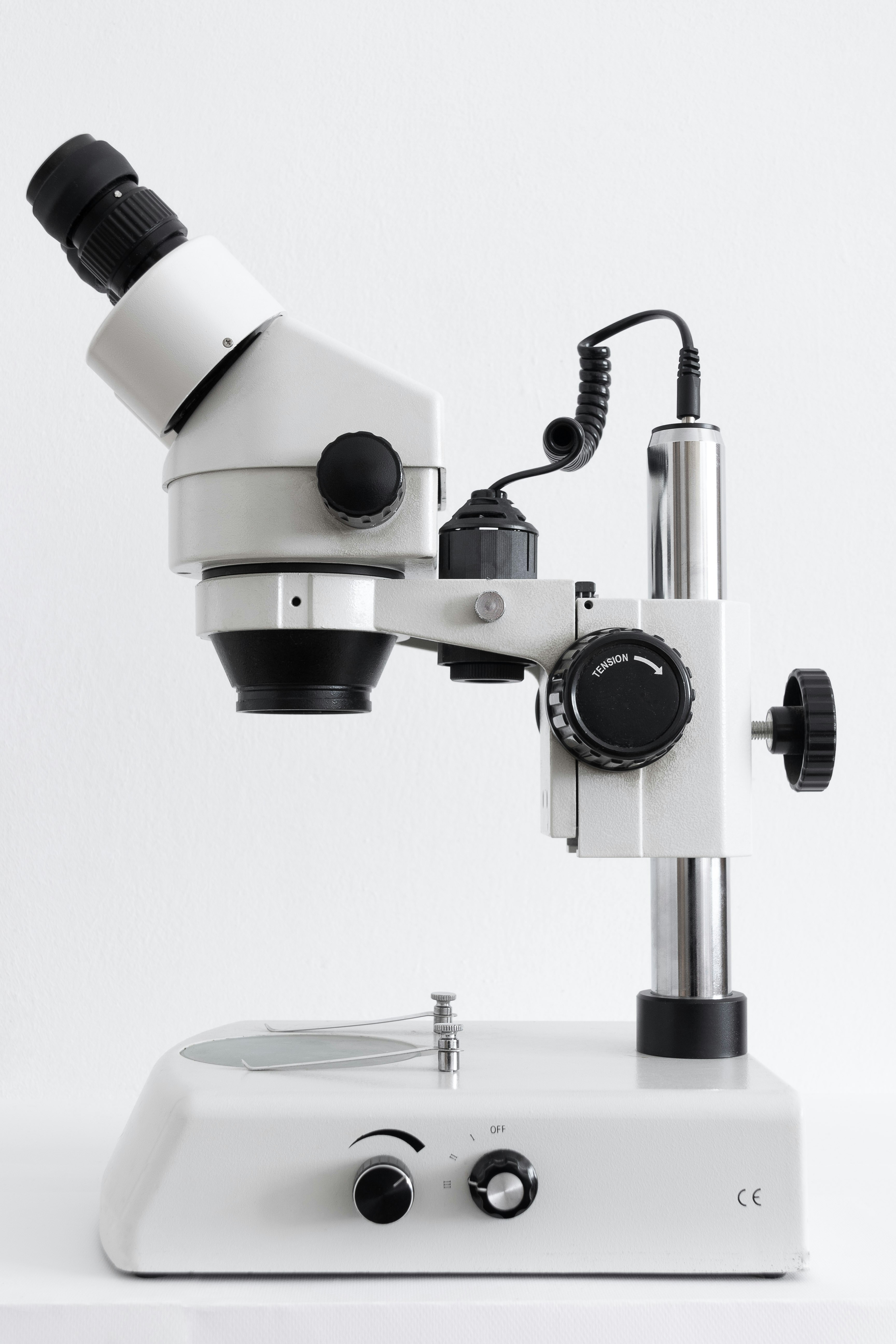 Endocrinology Unit