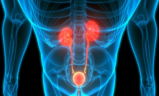 Urology Unit