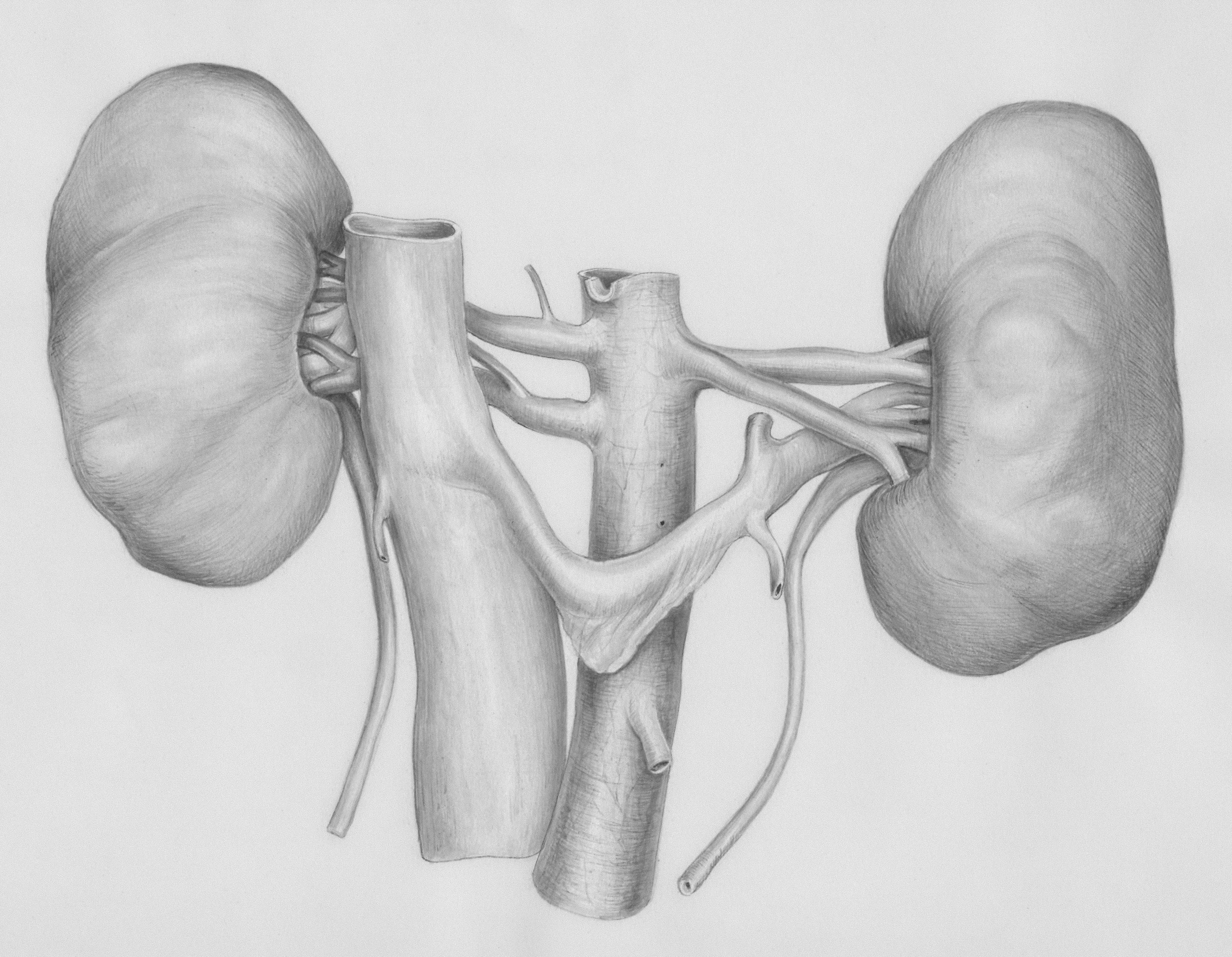 Renal Unit